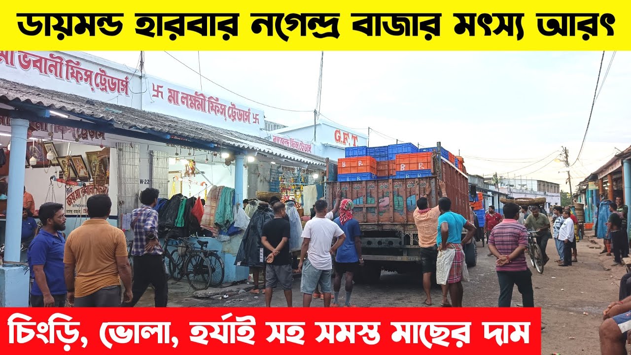 ডায়মন্ড নগেন্দ্র বাজারে চিংড়ি ভোলা সহ সমস্ত মাছের দামের আপডেট | Diamond harbour fish market