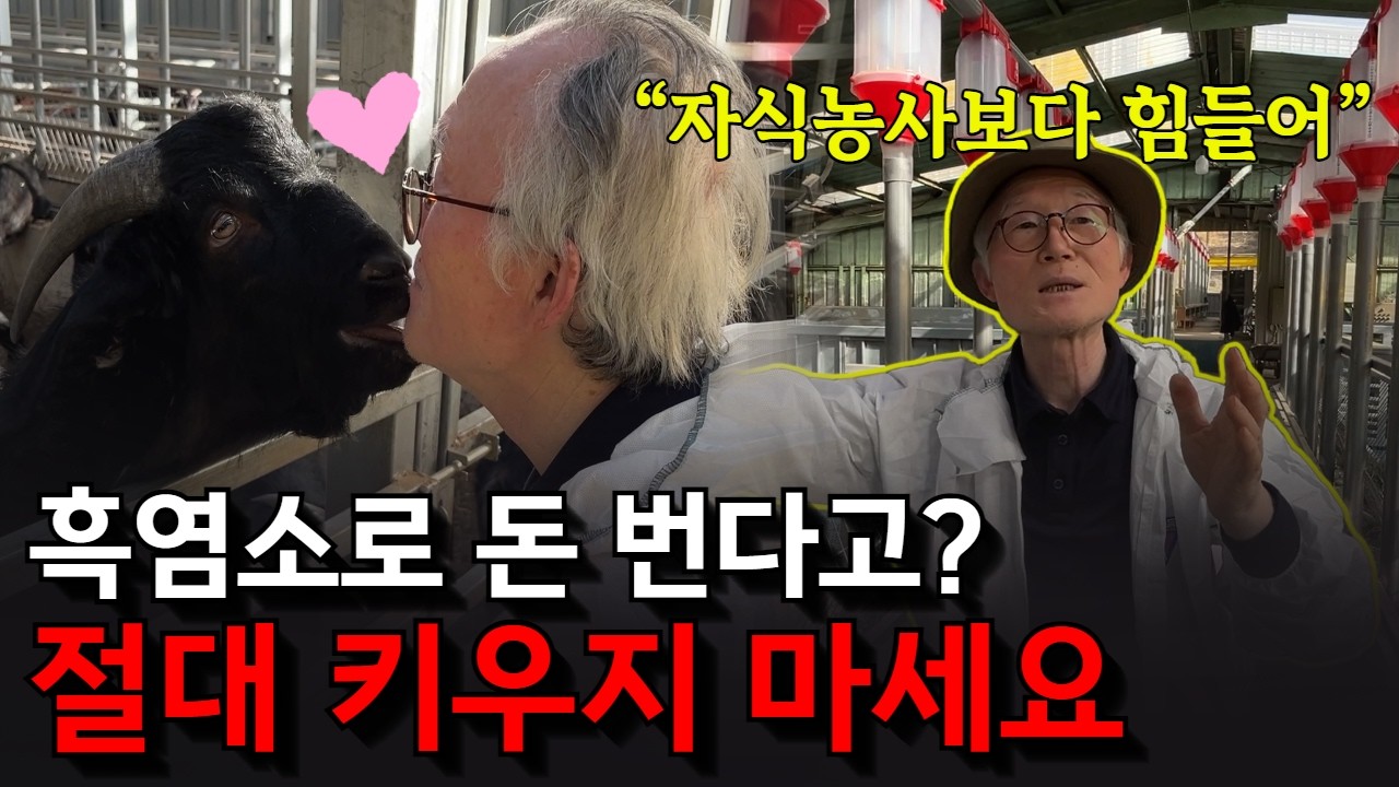국내 흑염소 시장의 실체, 15년 경력 명인이 100% 공개합니다 (선도농가를 만나다)