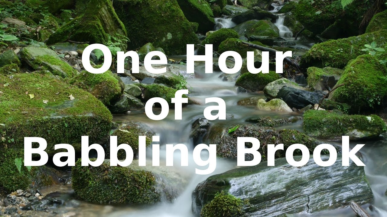 1 Hour of a Babbling Brook 💦 Sleep Sounds