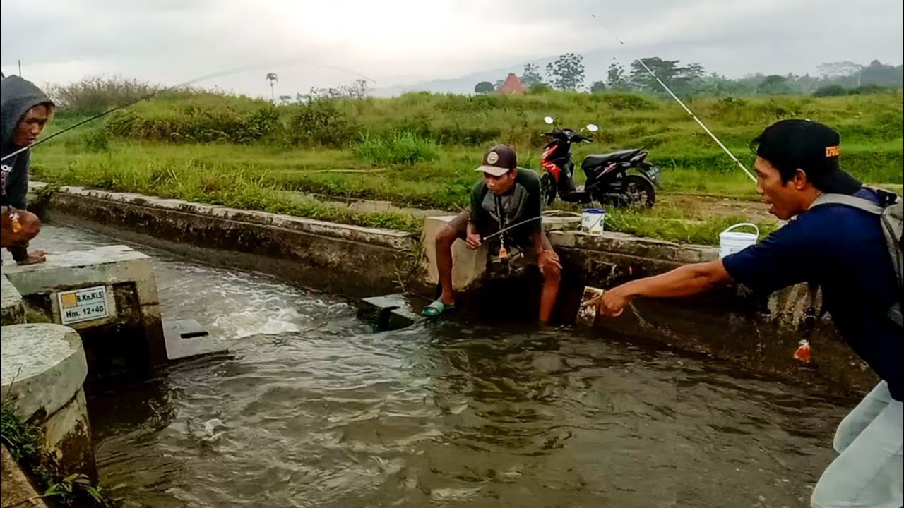 Gokil.!! Mancing di sungai kecil arus deras sarang ikan nilem & uceng || mancing nyobok