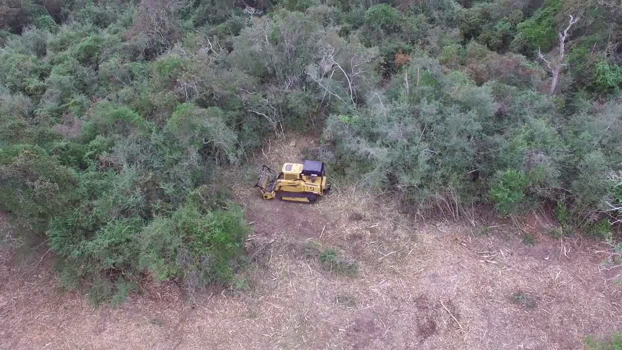 C100R Mulcher Rayco  | Greenstar Equipment