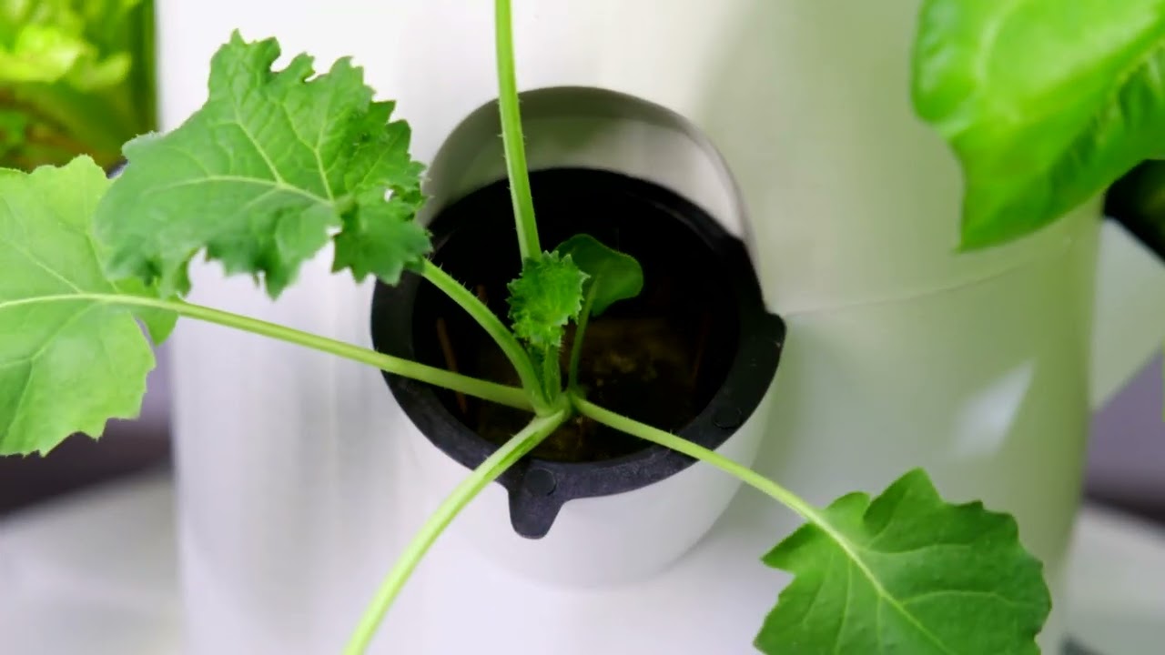 Introducing the ALTO Garden GX Hydroponic Tower Garden