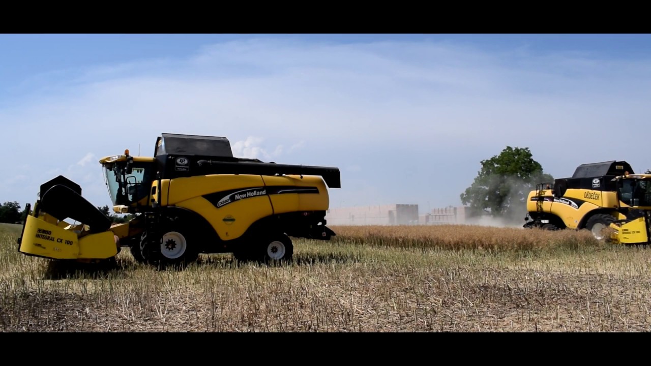 Harvest 2019 - 2x New Holland CX 8080  + Iveco Stralis