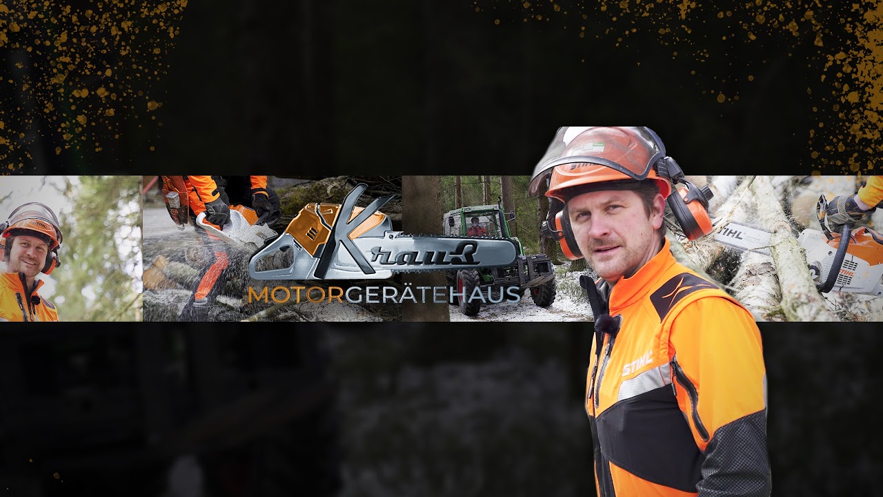 Kolbenfresser Stihl MS 291