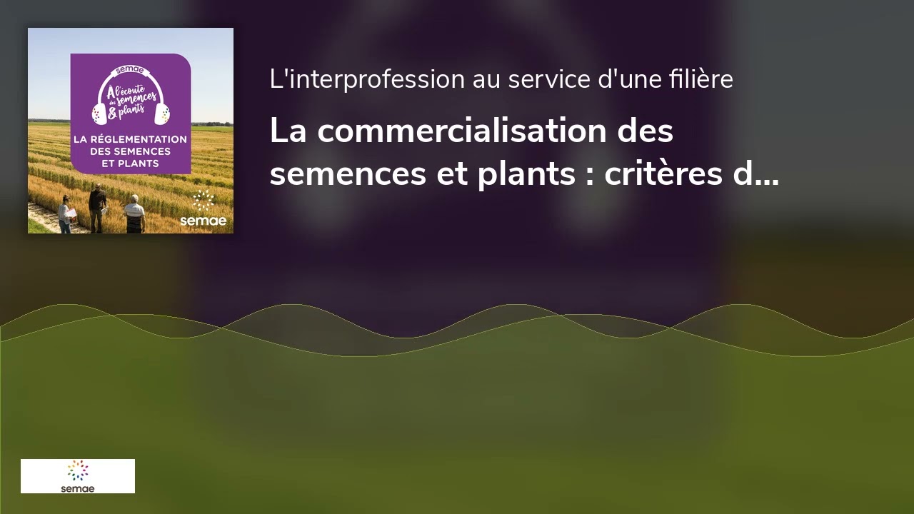 La commercialisation des semences et plants : critères de qualité et mise en œuvre