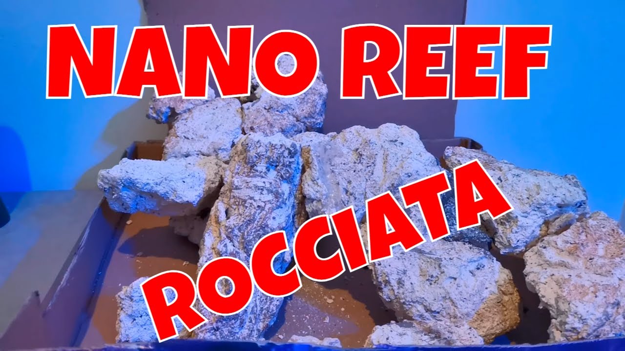 Nuovo Acquario Marino Nano Reef - Rocciata Nano reef