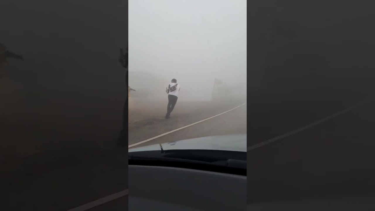 Fog to the extreme driving 