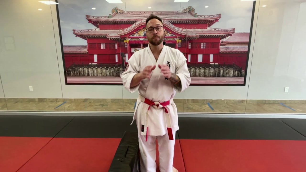 Intro Series Back Kick