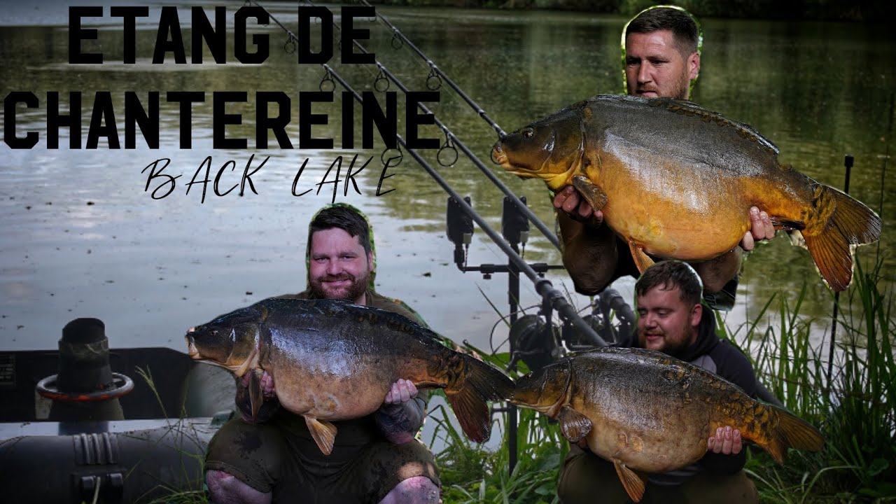 ** FRENCH CARP FISHING *LES  ETANGS DE CHANTEREINE BACK LAKE