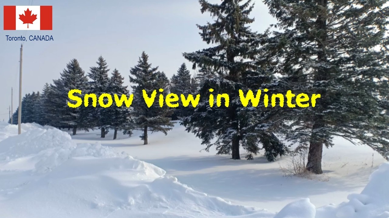 View in winter #canada