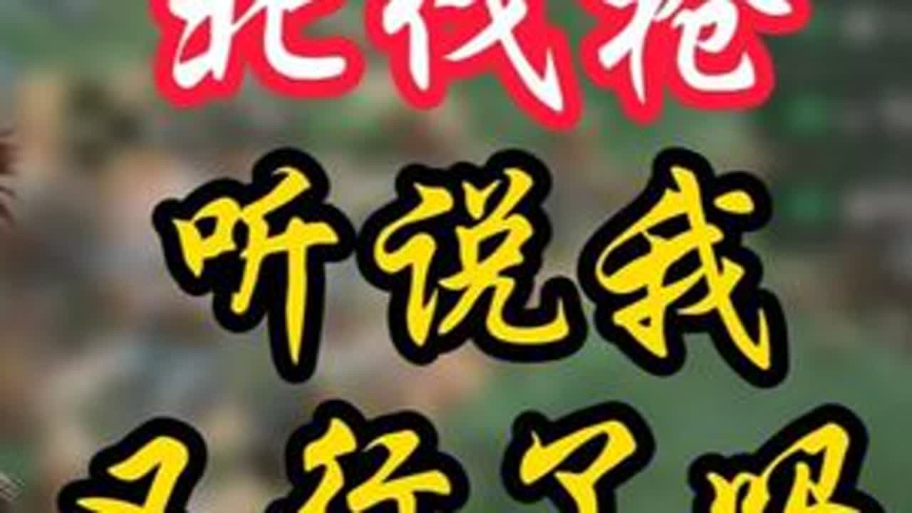 实测北伐枪，又站起来了吗？ #三国志战略版 #三战创作者计划 #北伐枪