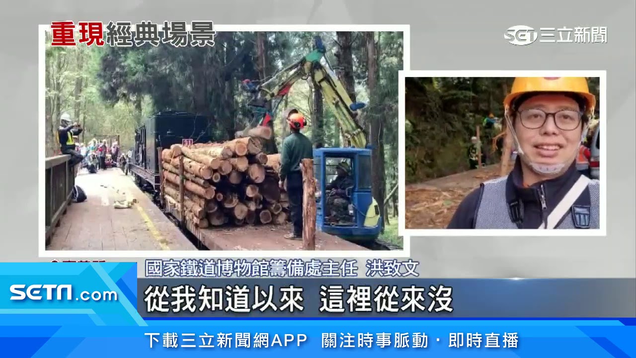 睽違57年！阿里山「疏伐」重現經典　蒸汽火車再運木材