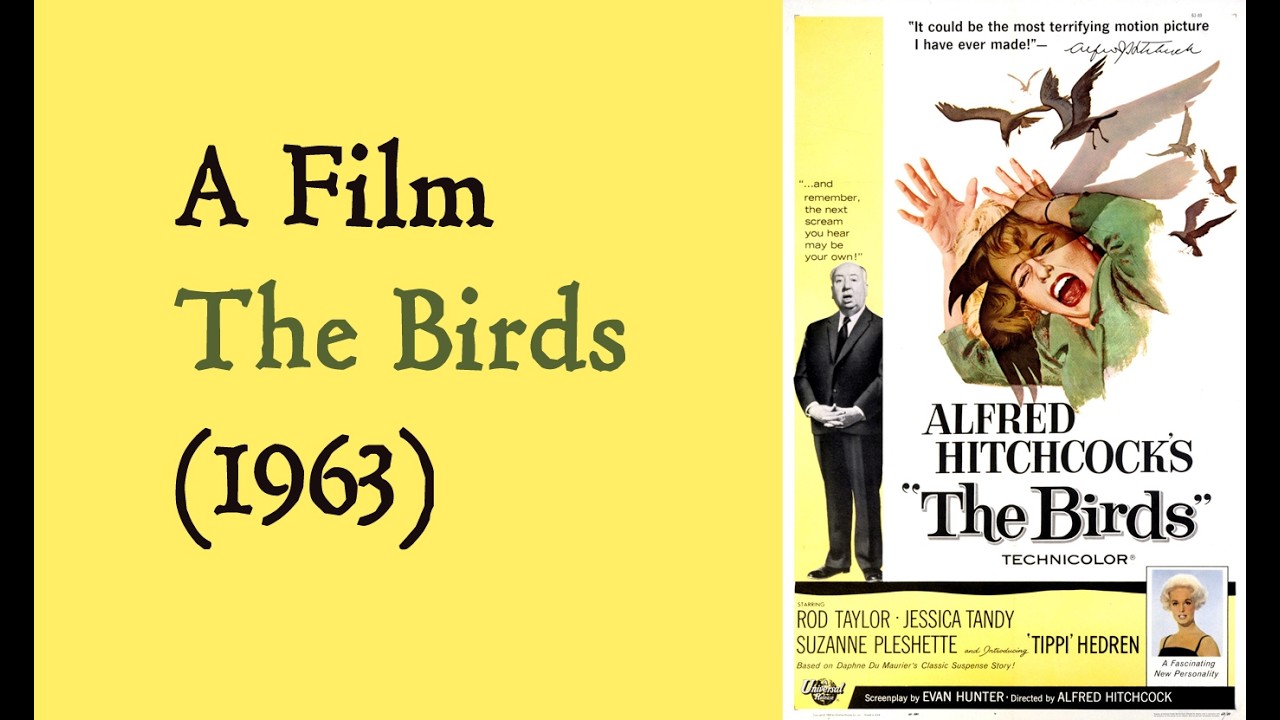 A Film : The Birds (1963)