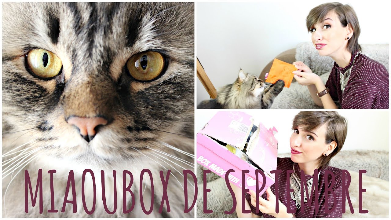 MIAOUBOX de SEPTEMBRE : Un Coussin Tisane ?! Venez twister !