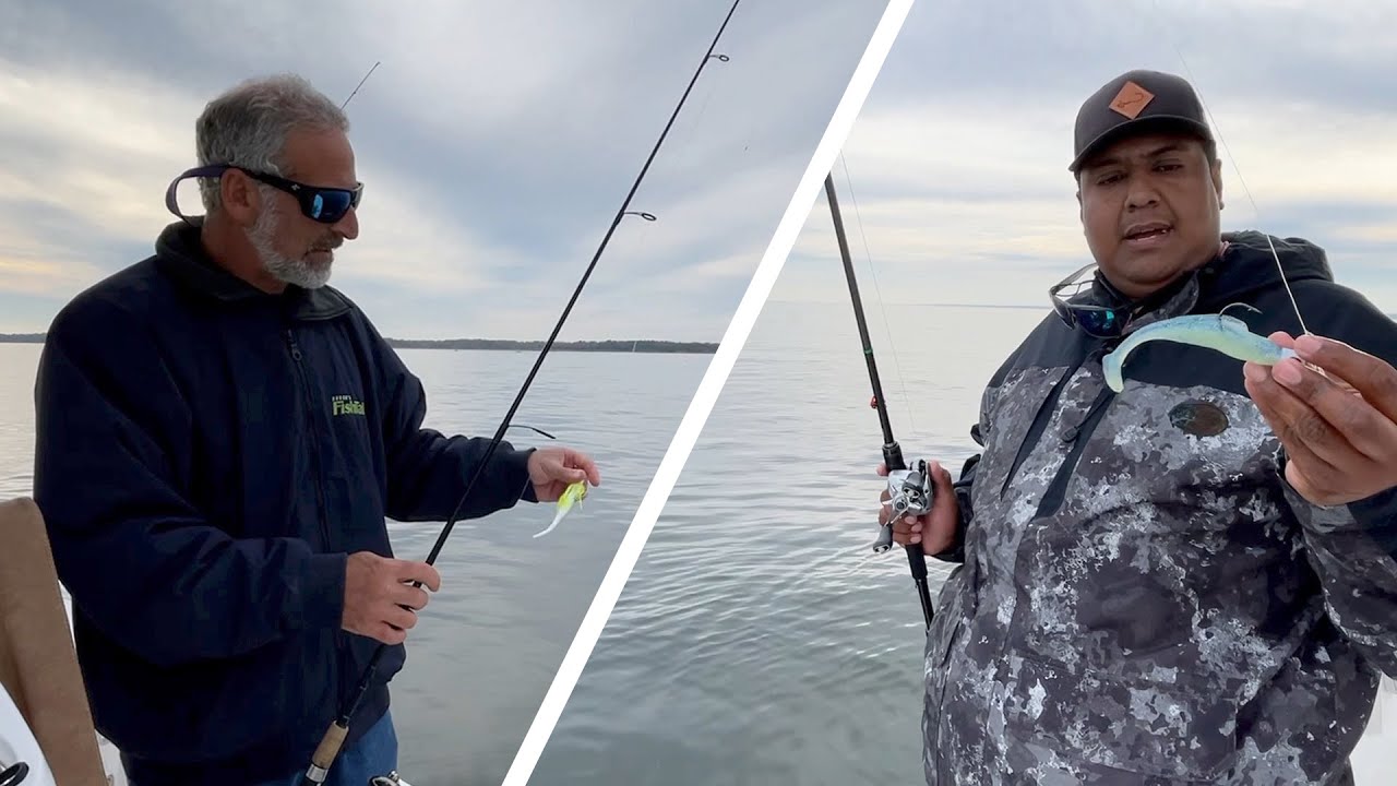 How to Fish for Striped Bass with Straight Tail vs. Paddletail Lures