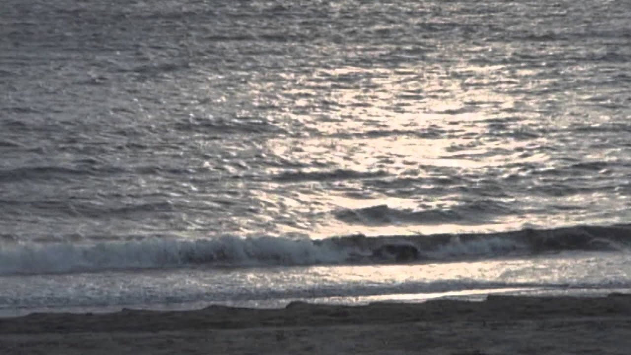 [MV] 逗子三兄弟「愛なんですか？情ですか？」（7/23発売「Stay with 海」より）