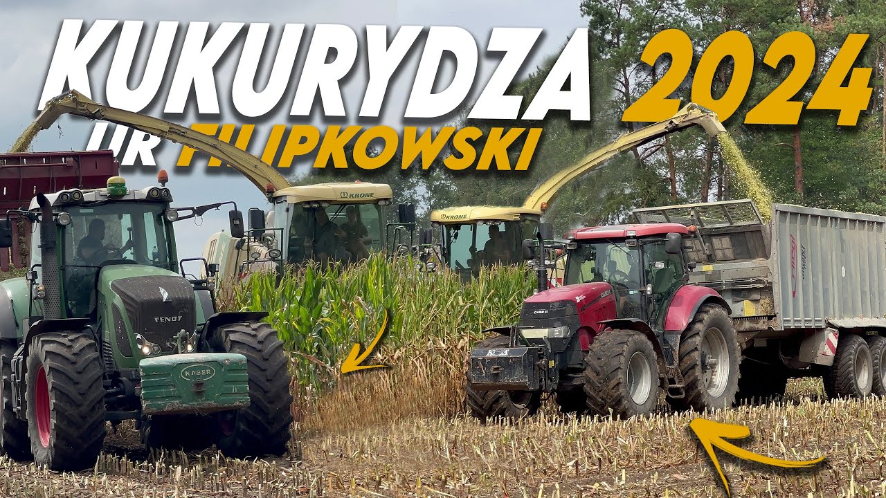 PIERWSI WE WSI?!✮KUKURYDZA 2024 Z UR FILIPKOWSKI✮CASE & FENDT & KRONE✮GR KOMOROWSKI✮