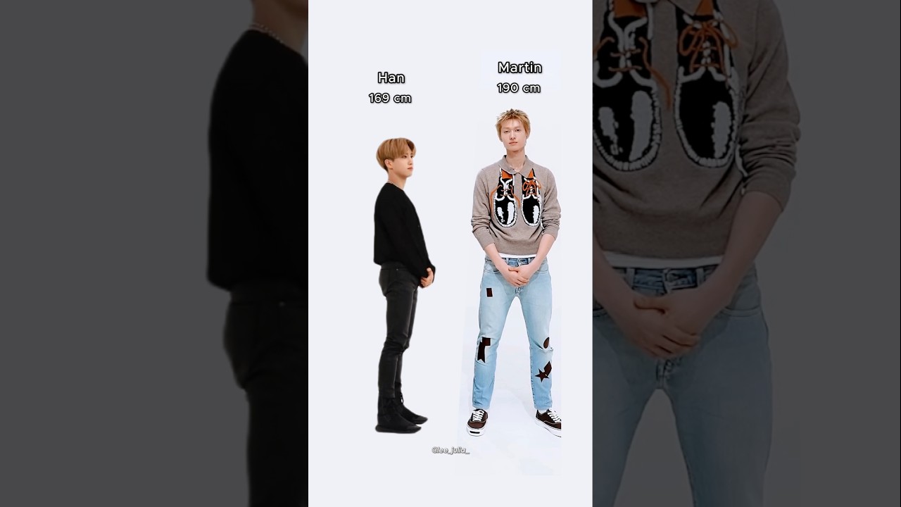 they're pocket sized #straykids #skz #cortis #hyunjin #felix #bangchan #스키즈 #kpop #seungmin