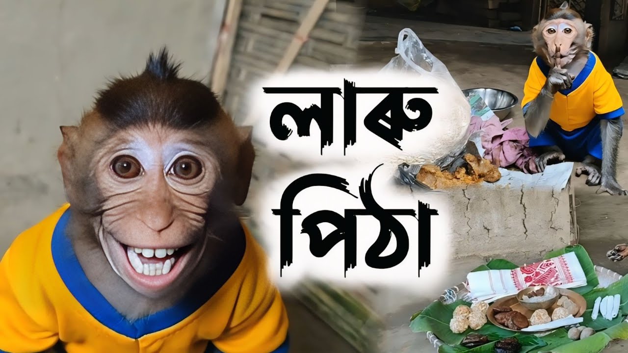 লাৰু পিঠা 🤤 | Magh Bihu Laddu Pitha | Assamese Monkey Vlog | Bandor Bhokot