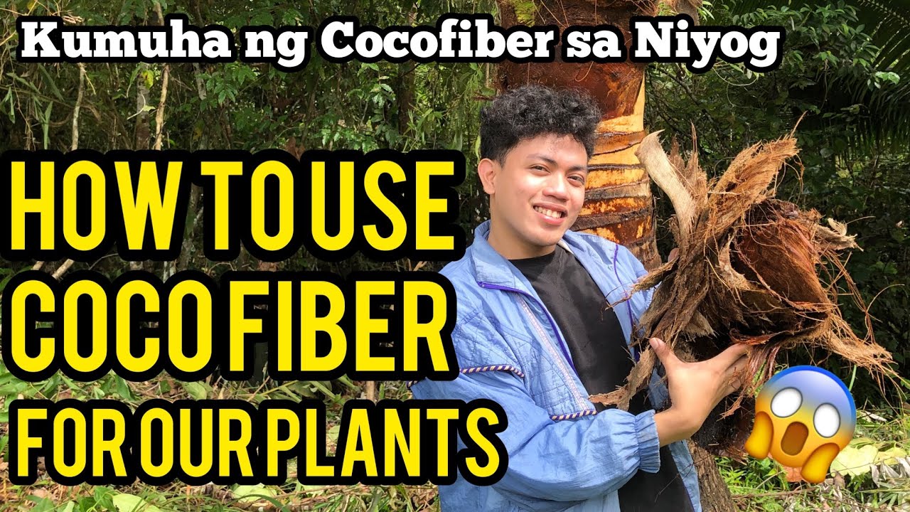 HOW TO USE COCO FIBER FOR OUR PLANTS!