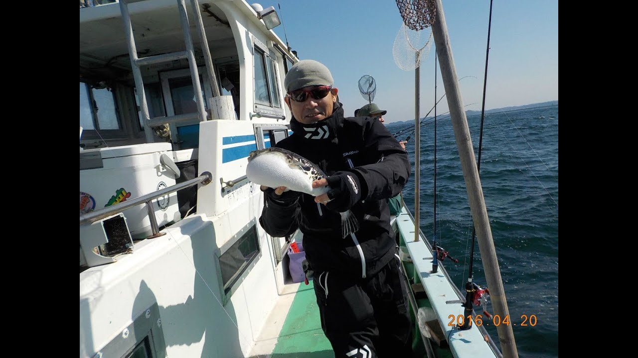 20160420 巨大トラフグ狙い　一郎丸