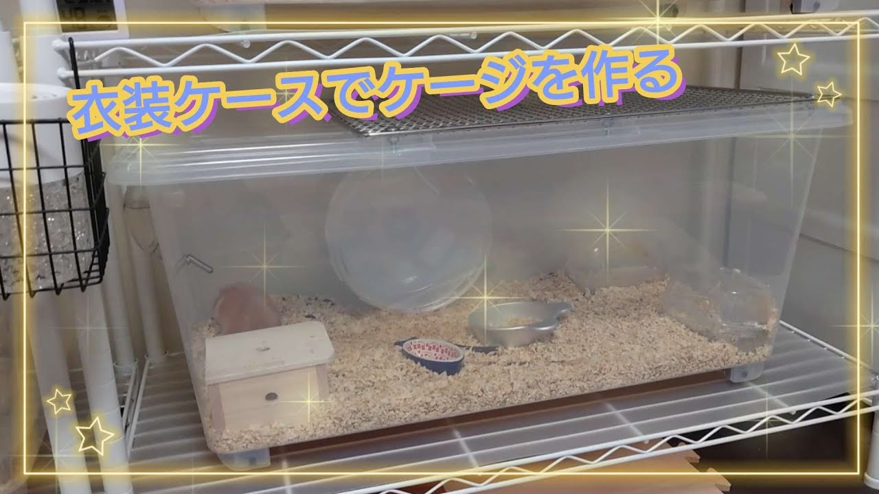 衣装ケースを使って、ゴールデンハムスターのケージを作ります！