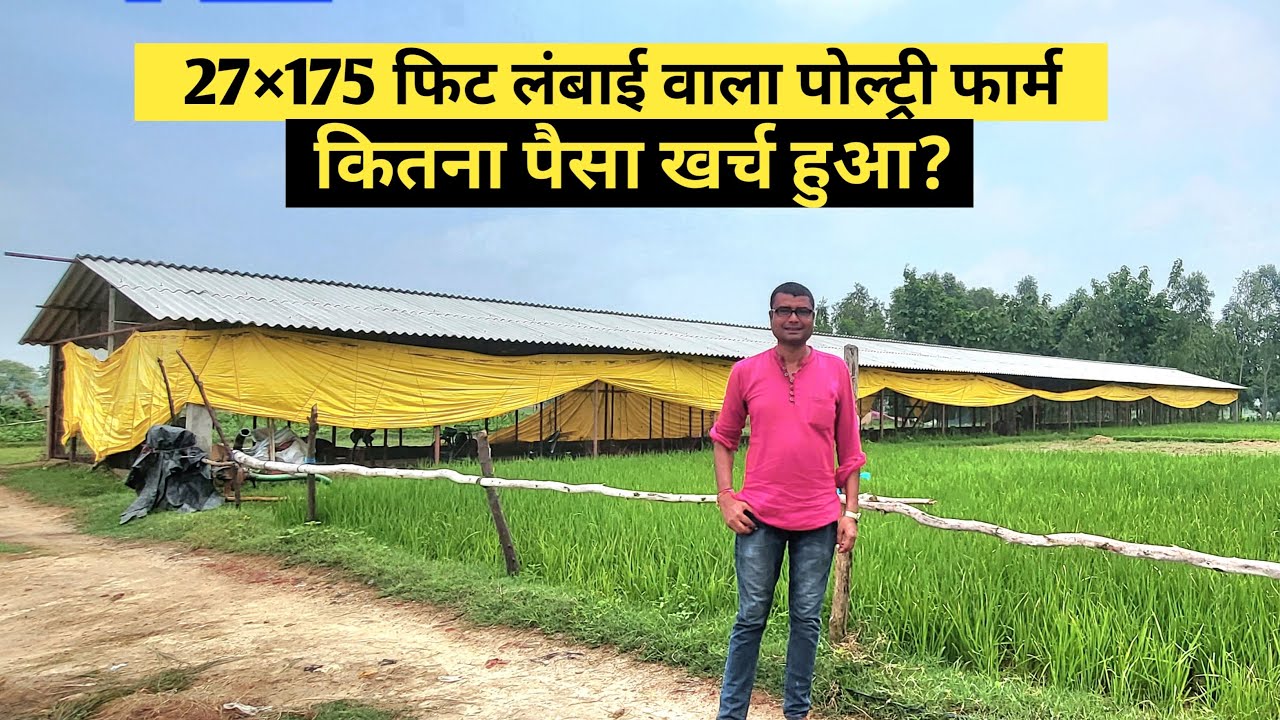 4 हजार चिक्स का पोल्ट्री फार्म बनवाने में कितना खर्च देखिये | Best poultry business | farming