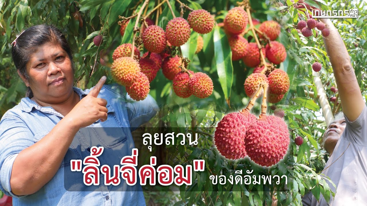 ลุยสวน 