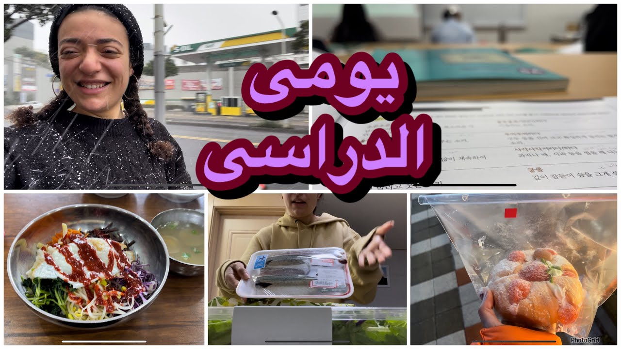 فلوج يوم دراسى فى كوريا|نزل تلج كتير|ركبت العجلة فى التلج|تسوقت|عملت سمك و سلطة|الجامعة
