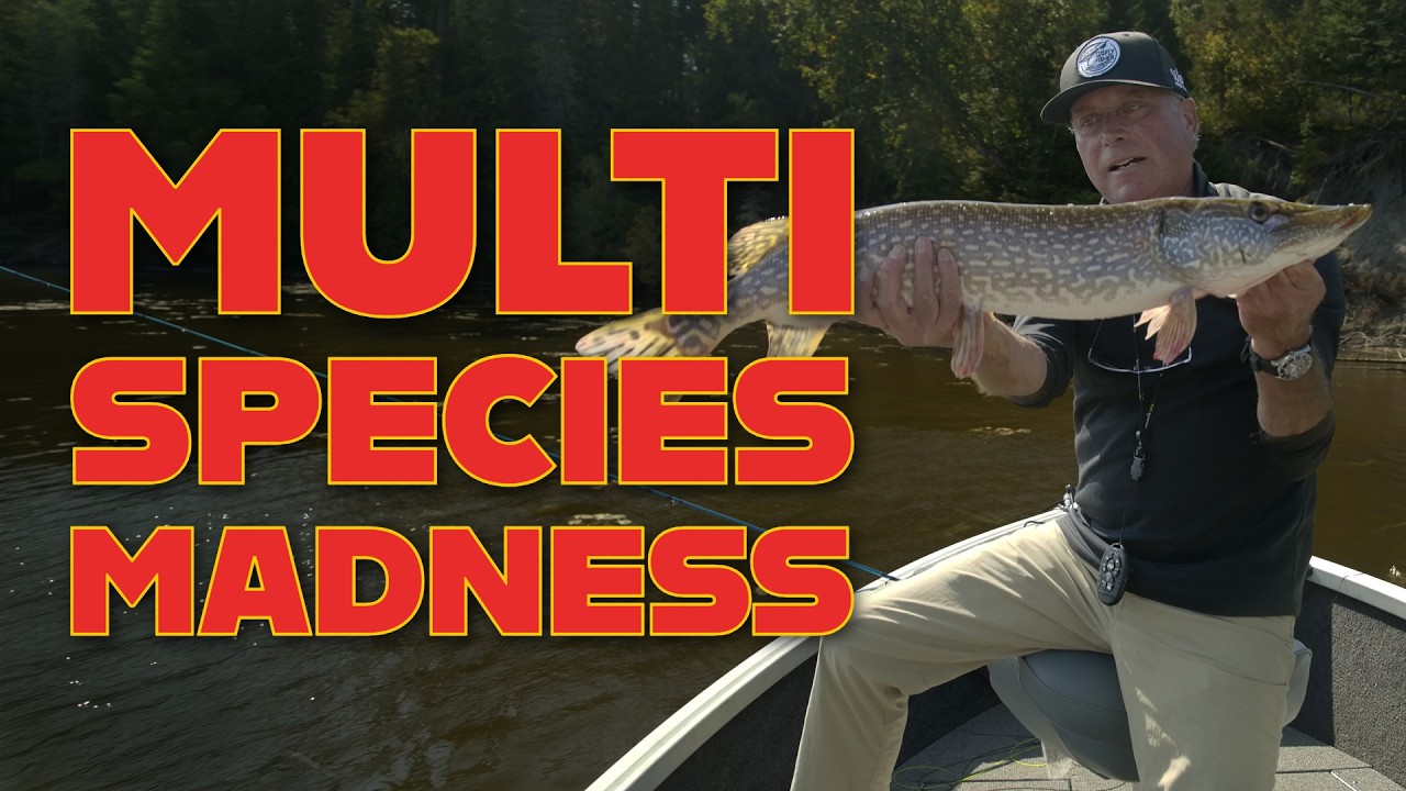 Multi-Species Madness at Pine Sunset Lodge