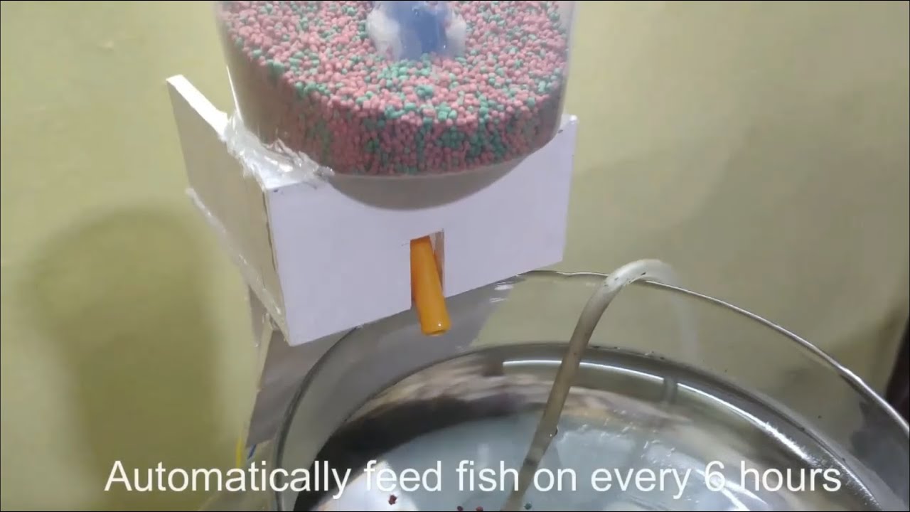 Make automatic fish feeder with arduino SIMPLE &  EASY| Arduino project