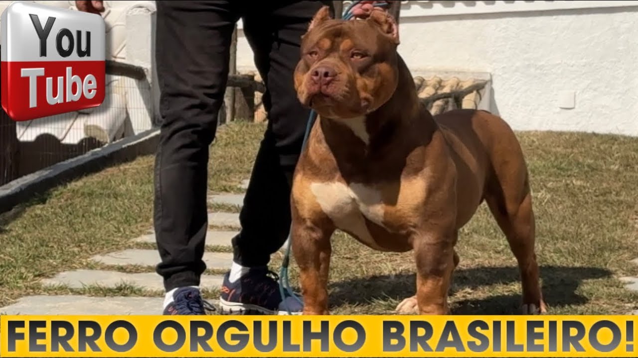 🎨 FERRO É O PIT MONSTER TRI CHOCOLATE MAIS BONITO DO BRASIL!