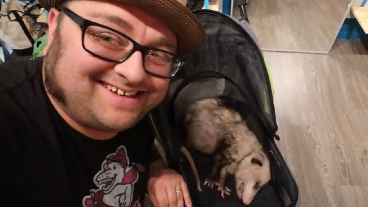 I Met Sesame the Possum