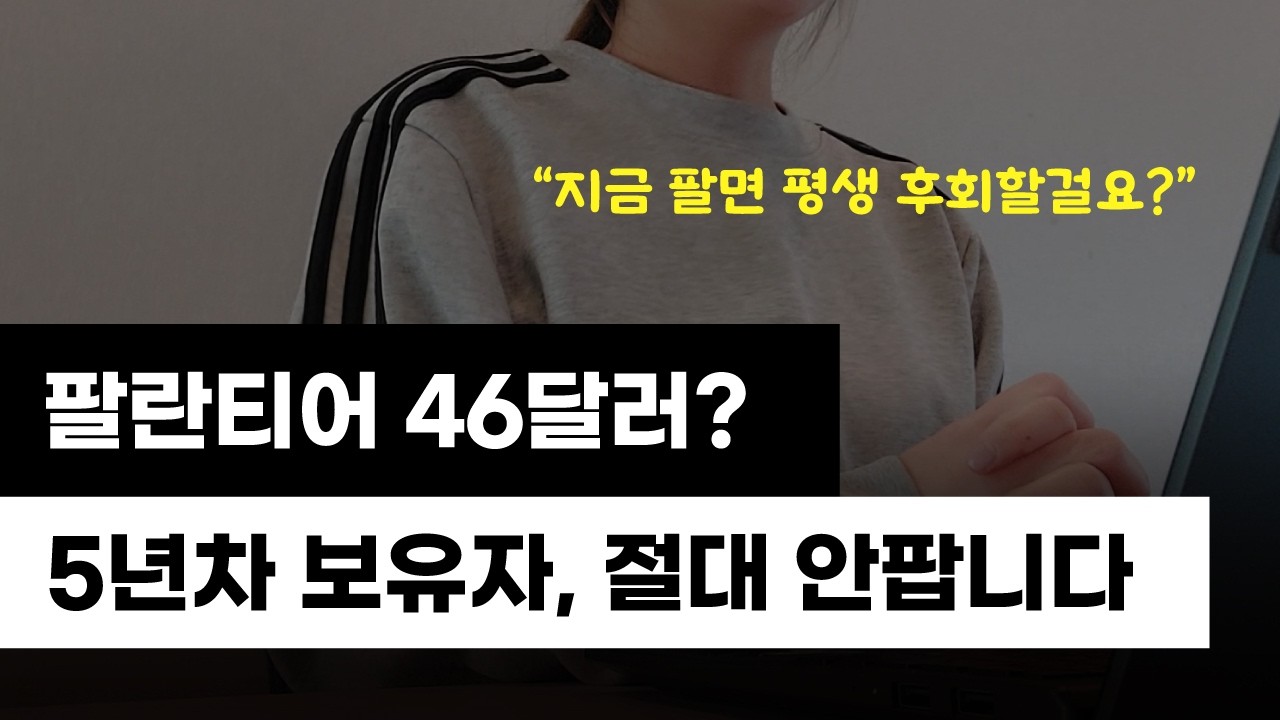 팔란티어 적정가는 46달러라는 마이클버리