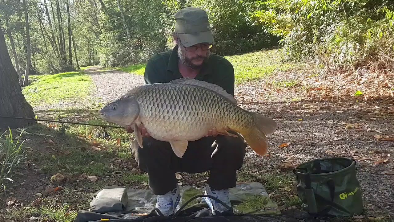 Autumn Antics at seven lakes fishery by the lazy carpers
