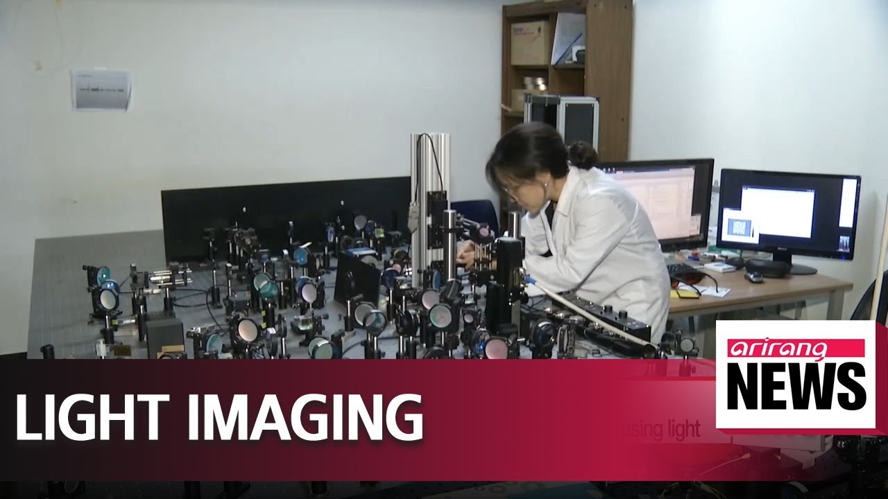 Korean scientists develop technique to peer through mouse skull using light