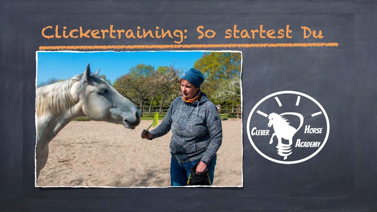 Clickertraining: So startest Du !