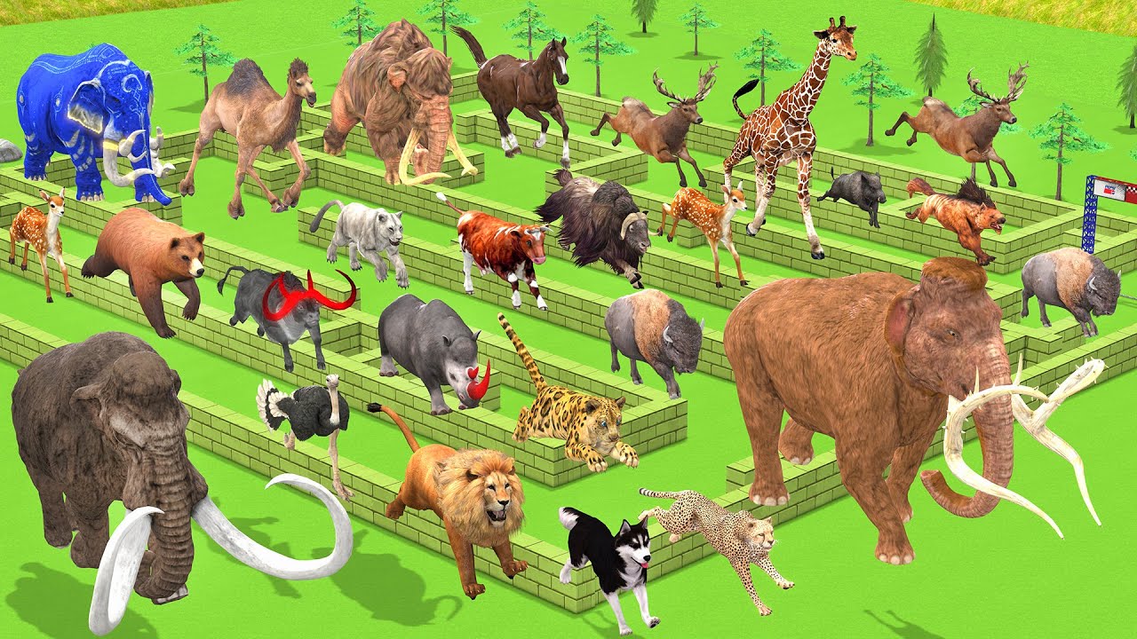 Maze Madness Race 23 Wild Animals, Which is the Fastest Animal? Animal Revolt Battle Simulator