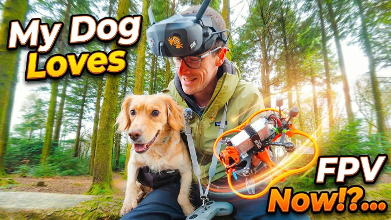Моя собака теперь обожает FPV-полетов... Это может стать проблемой 😅