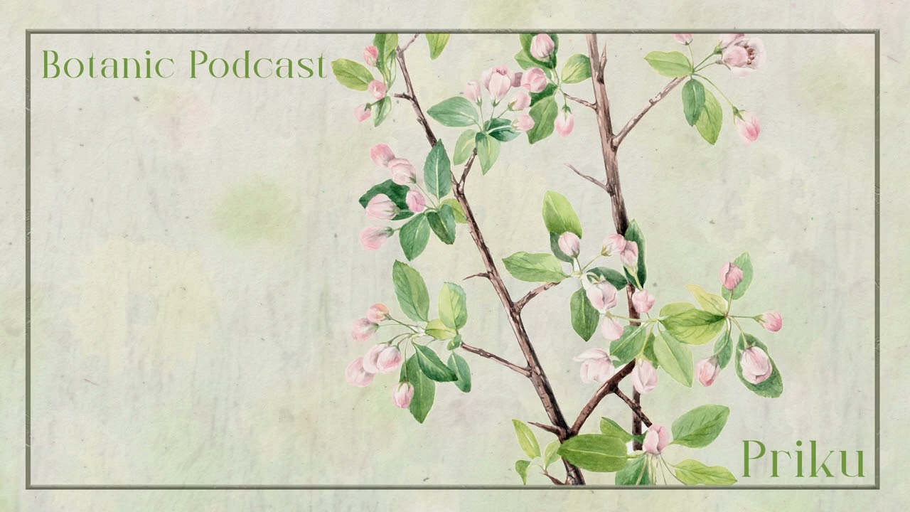 Botanic Podcast - Priku