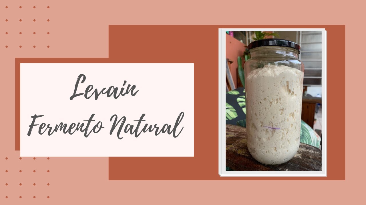 Fermento Natural (Levain) - Do começo ao fim!