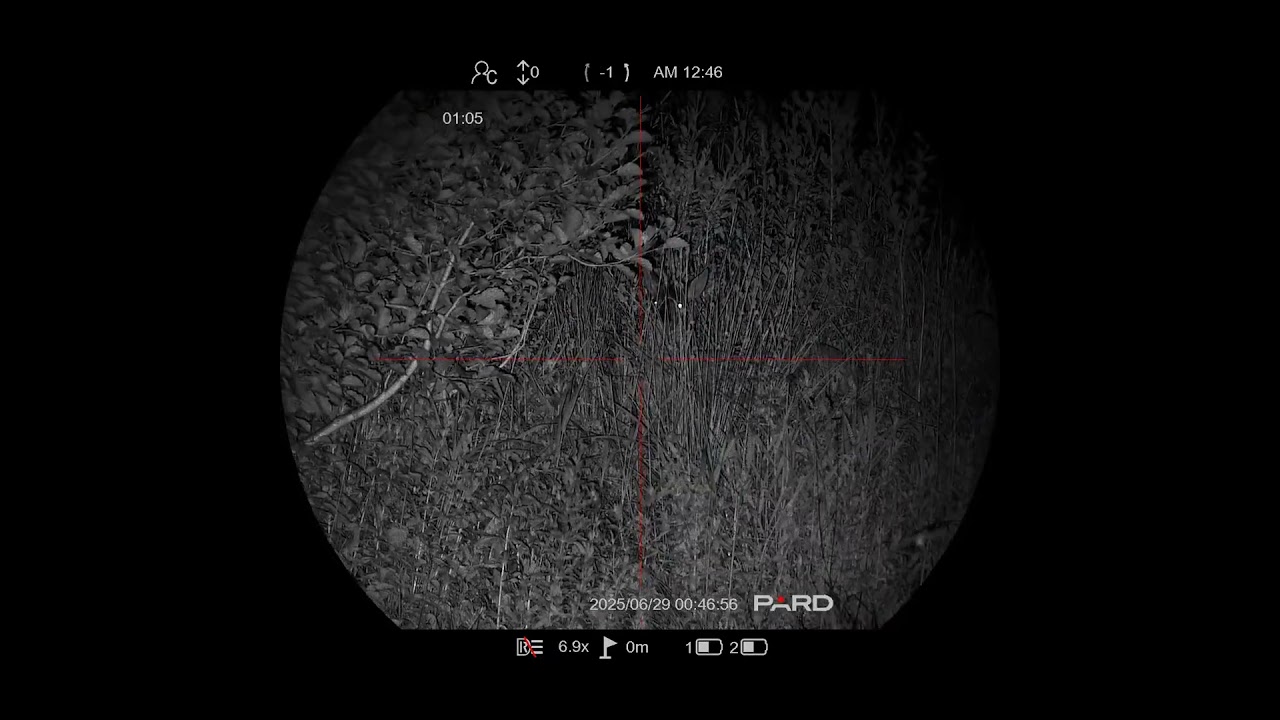 The New Pard Night Stalker EX fokus test with extra ir lamp (lir) #nighthunter #nightvision #pard