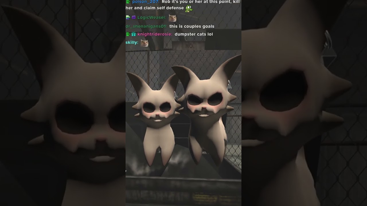 Cute kitties... | #roflgator on #Twitch