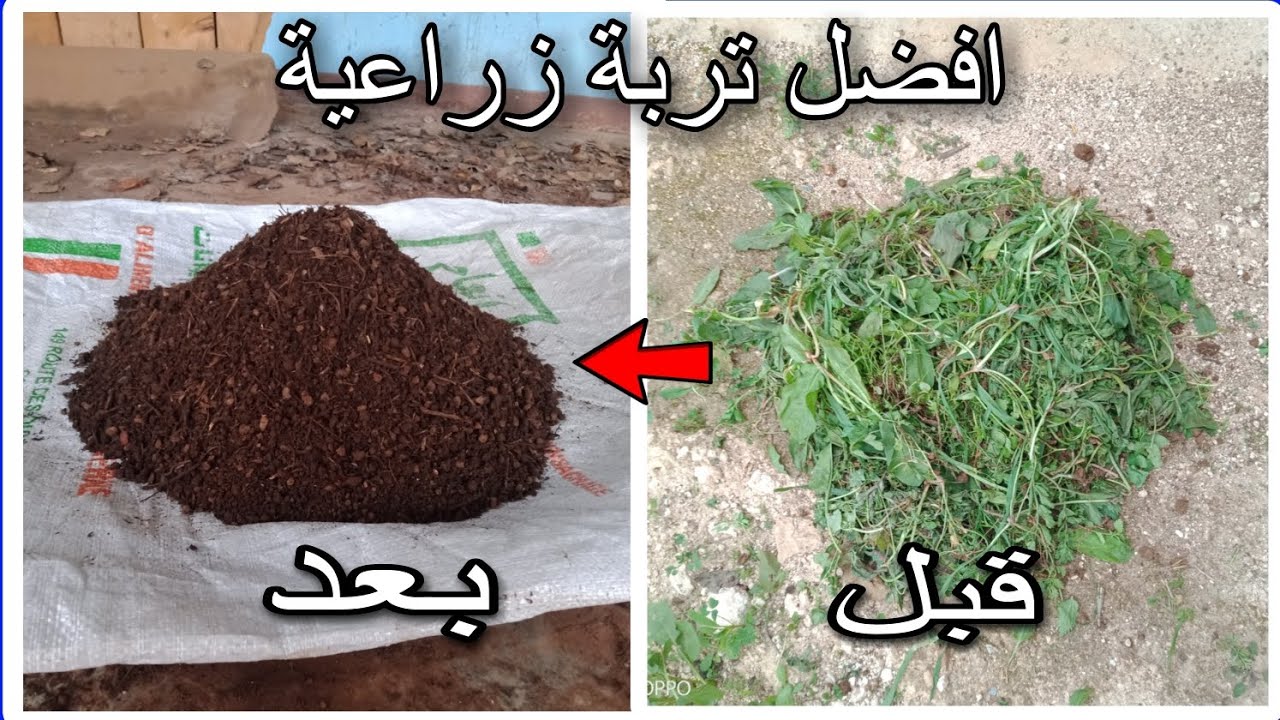 قم بتحويل الاعشاب الضارة الى افضل تربة زراعية/افضل تربة زراعية/كمبوست/ افضل سماد طبيعي/ composte