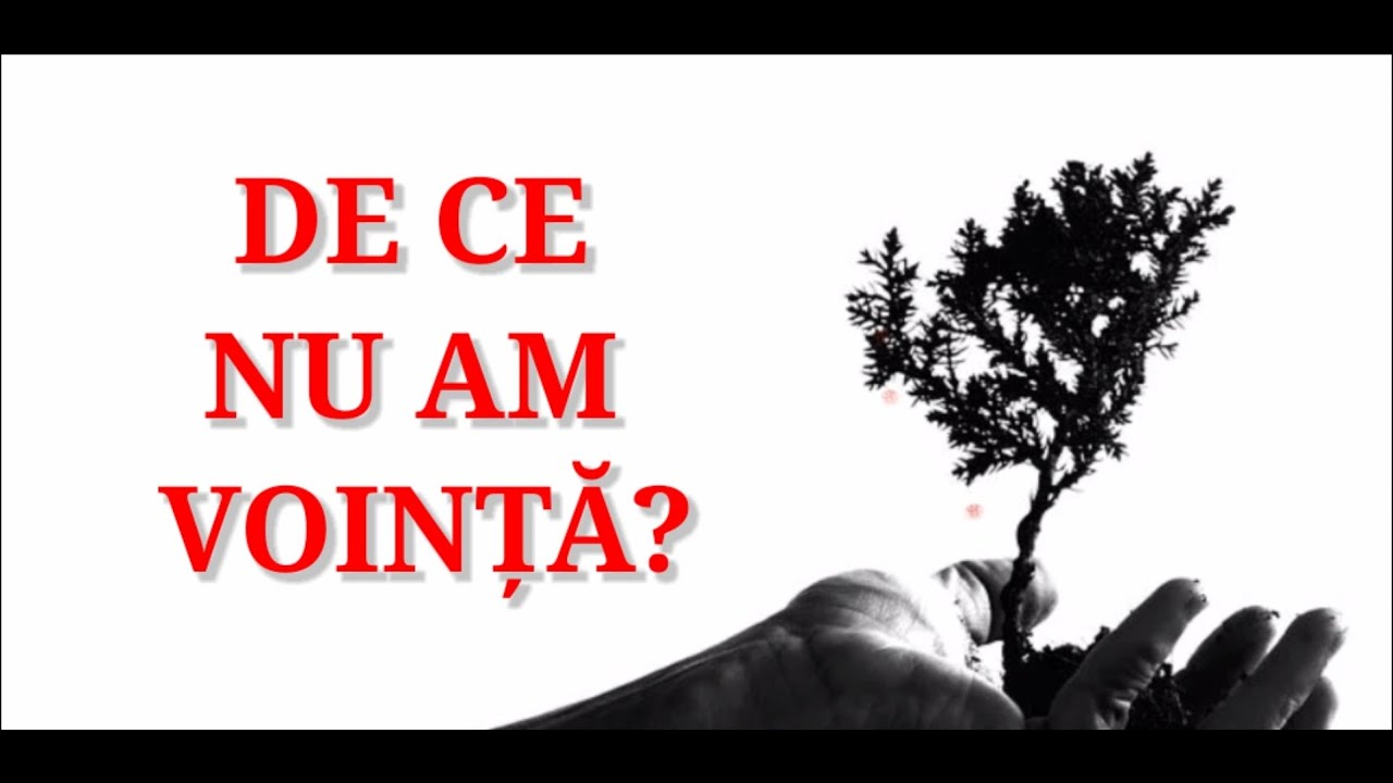 DE CE NU AM VOINTA nici macar atunci cand imi doresc ceva?
