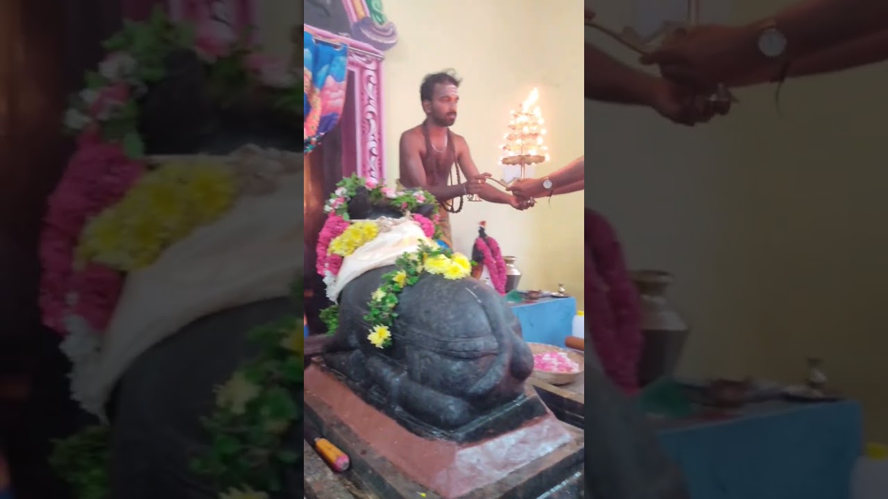 ஸ்ரீ ராஜராஜ சோழீஸ்வரர்  திருக்கார்த்திகை பிரதோஷ அபிஷேக அலங்காரம்🙏🙏🙏