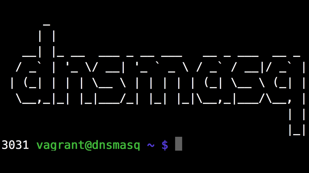 Implementing DNS via dnsmasq