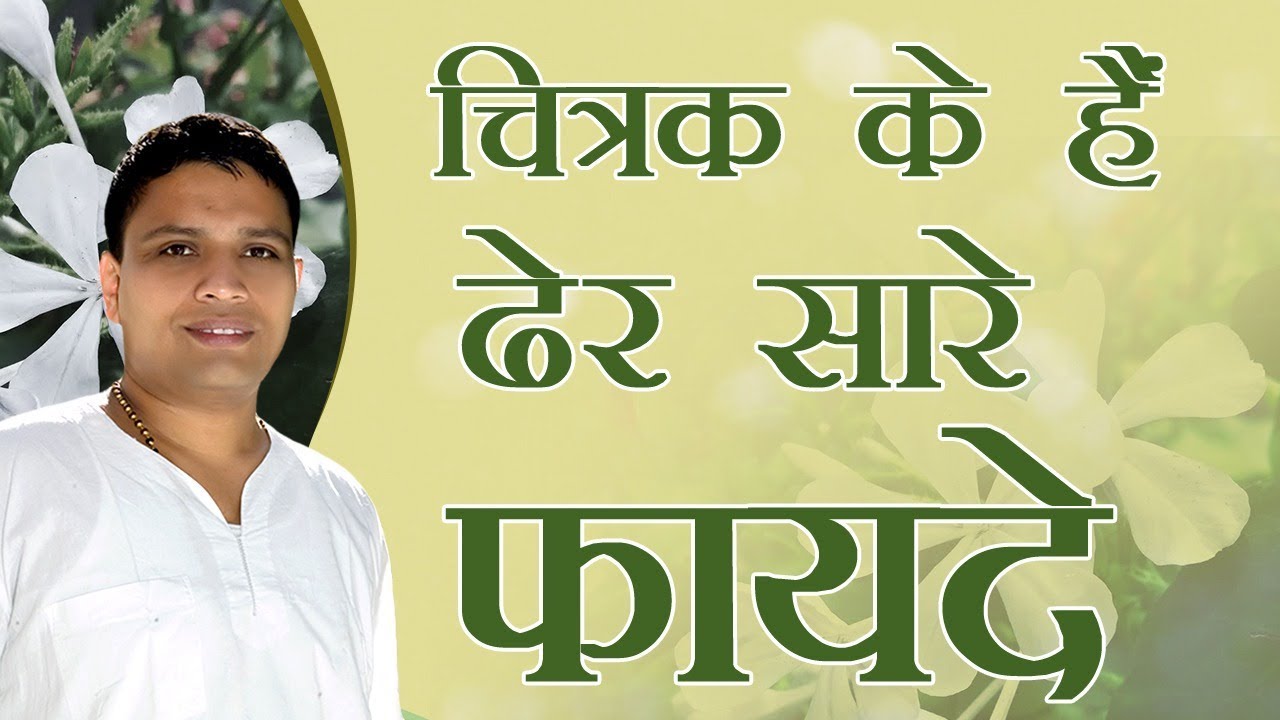 चित्रक (Chitrak) के हैं ढेर सारे फायदे | Acharya Balkrishna
