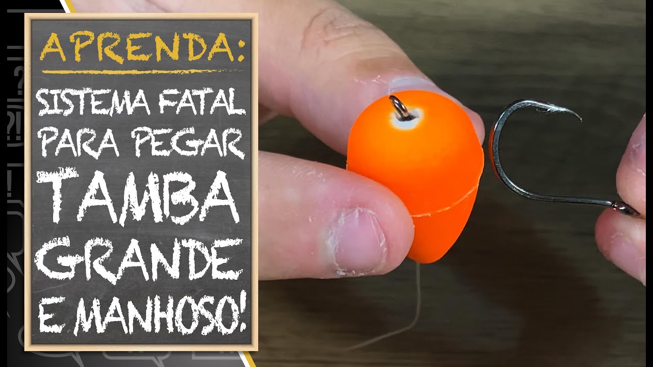 APRENDA: SISTEMA FATAL PARA PEGAR TAMBA GRANDE E MANHOSO, SISTEMA GOIANO!!!