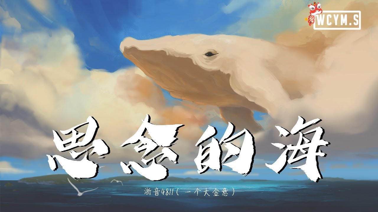浙音4811 (一个大金意) - 思念的海【動態歌詞/Lyrics Video】
